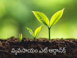 Vyavasayam@Organic