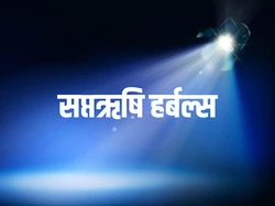 Saptarishi Herbals