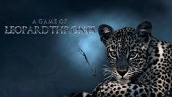 A Game Of Leopard Thrones