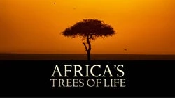 Africa's Trees of Life