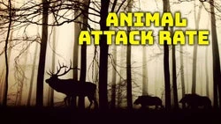 Animal Attack Rate