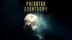 Predator Countdown