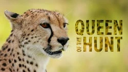 Queen Of The Hunt
