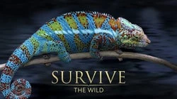 Survive the Wild