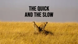 The Quick and the Slow