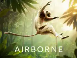 Airborne