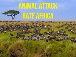Animal Attack Rate