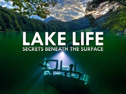 Lake Life: Secrets Beneath the Surface