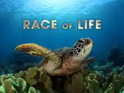 Race of Life