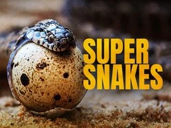 Super Snakes