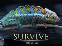 Survive the Wild