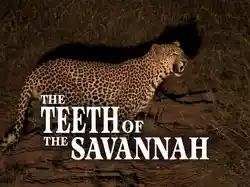 The Teeth of the Savannah