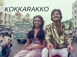 Kokkarakko