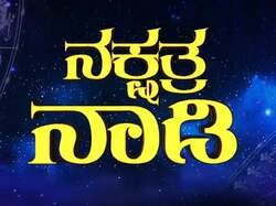 Nakshatra Nadi