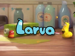 Larva