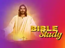 Bible Study