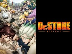 Dr. Stone