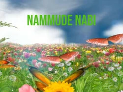 Nammude Nabi