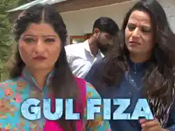Gulfiza