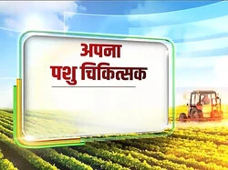 Apna Pashuchikistak