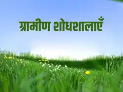 Gramin Shodhshalayein