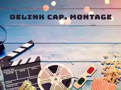 Delink Cap. Montage