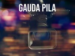 Gauda Pila