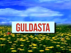 Guldasta