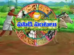 Pasidipantalu