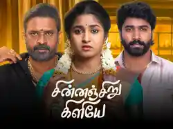 Chinnan Chiru Kiliye..