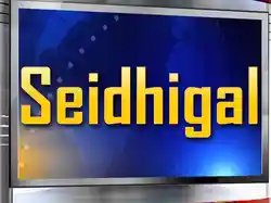 Seidhigal