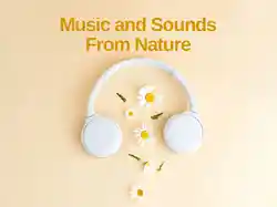 Music and Sounds From Nature