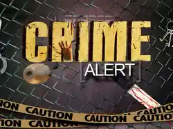 Crime Alert