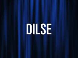 Dilse