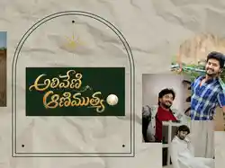 Aliveni Animuthyam