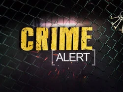 Crime Alert
