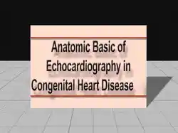 Anatomic Basic Of Echocardiography In Congenital Heart Disease