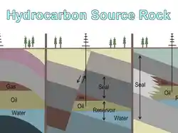 Hydrocarbon Source Rock