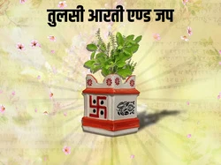 Tulsi Aarti & Japa