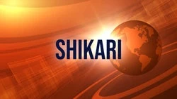 Shikari