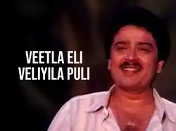 Veetla Eli Veliyila Puli