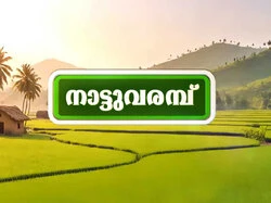 Nattu Varambu
