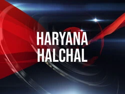 Haryana Halchal