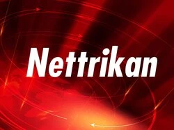 Nettrikan