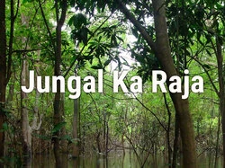 Jungle Ka Raja