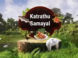 Katrathu Samayal