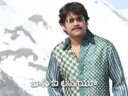 Boss I love you