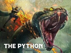 The Python