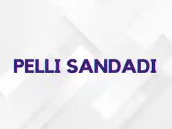 Pelli Sandadi