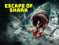 Escape of Shark